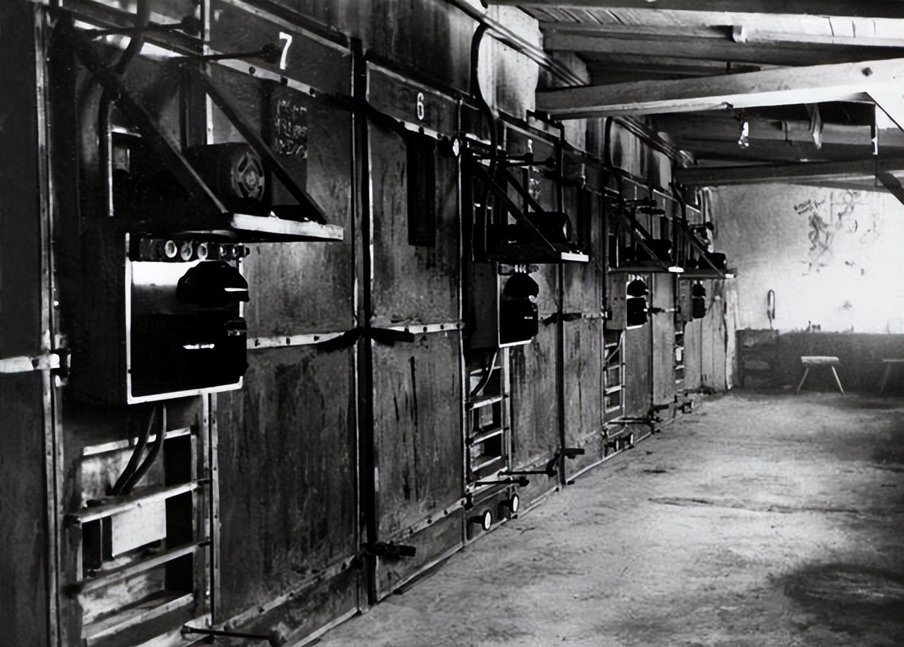 纳粹时期希特勒残害的对象都有谁？大*杀屠**的受害者只有犹太人吗？