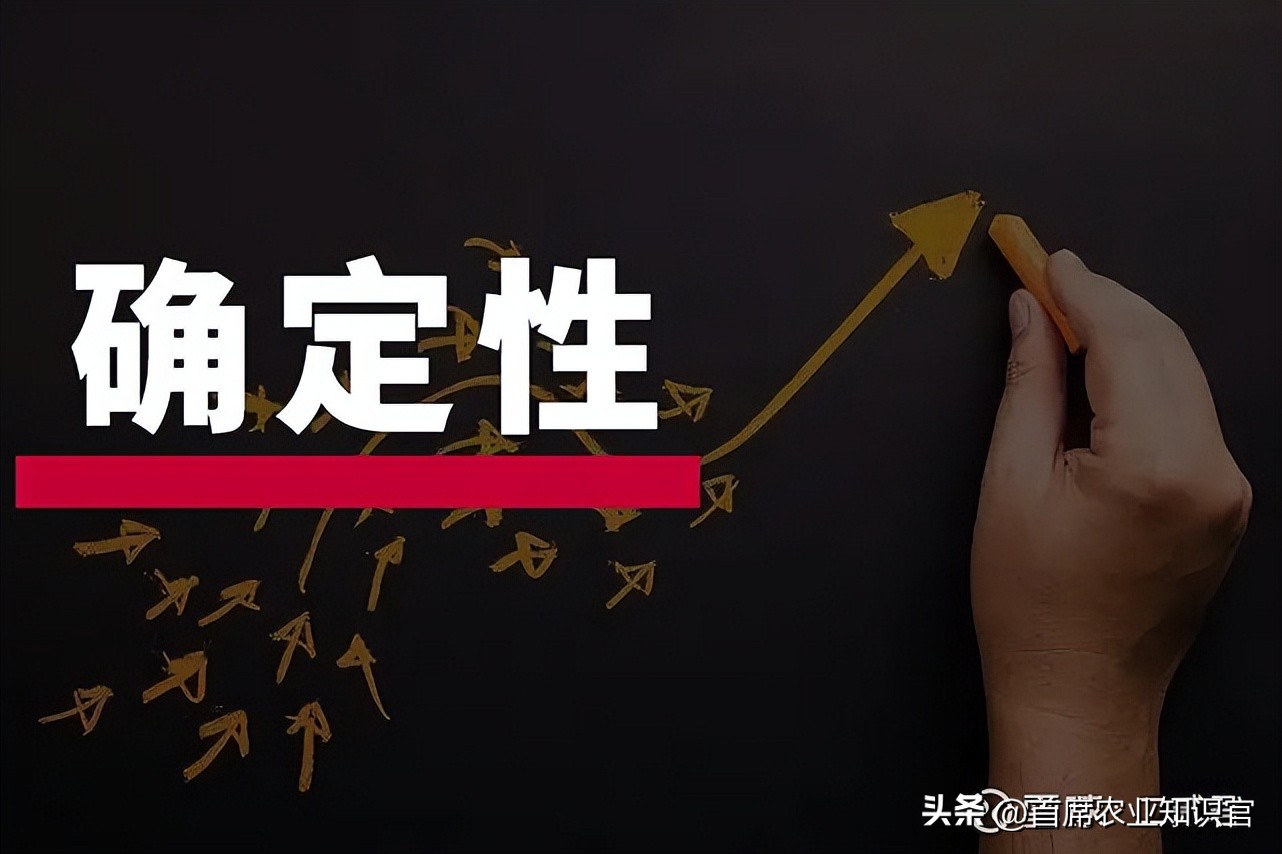 从源头工厂到终端市场品牌运营,农心科技总部及研发中心项目规划