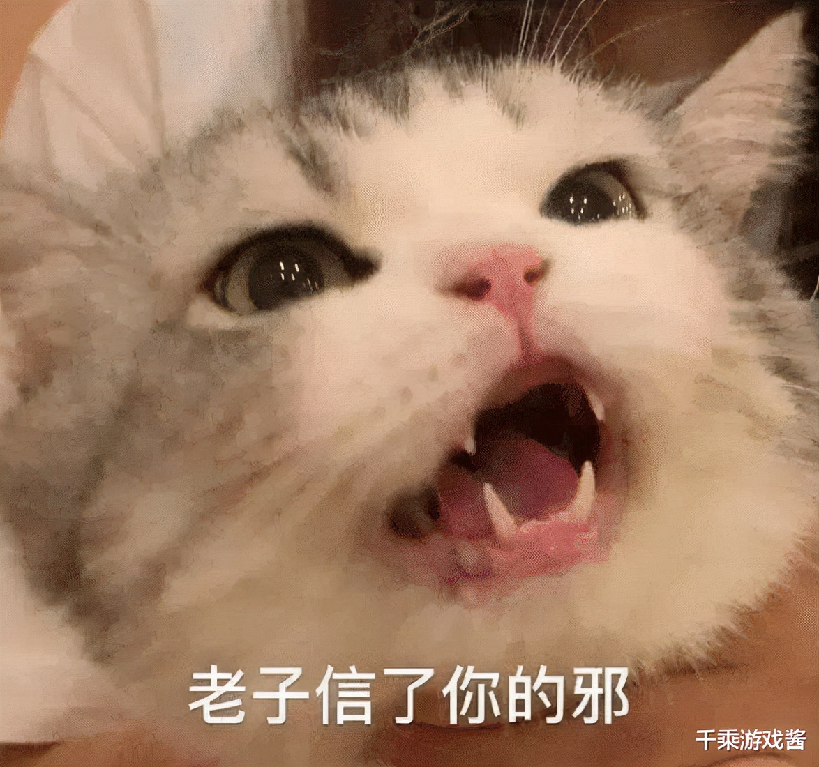 多家交易平台联合发表倡议书，呼吁三方合作共赢，玩家可以放心了