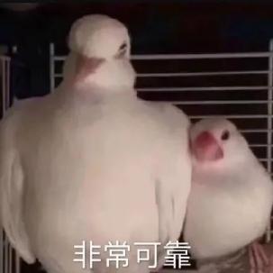 矫正打骨钉痛不痛,打了骨钉要痛多久啊