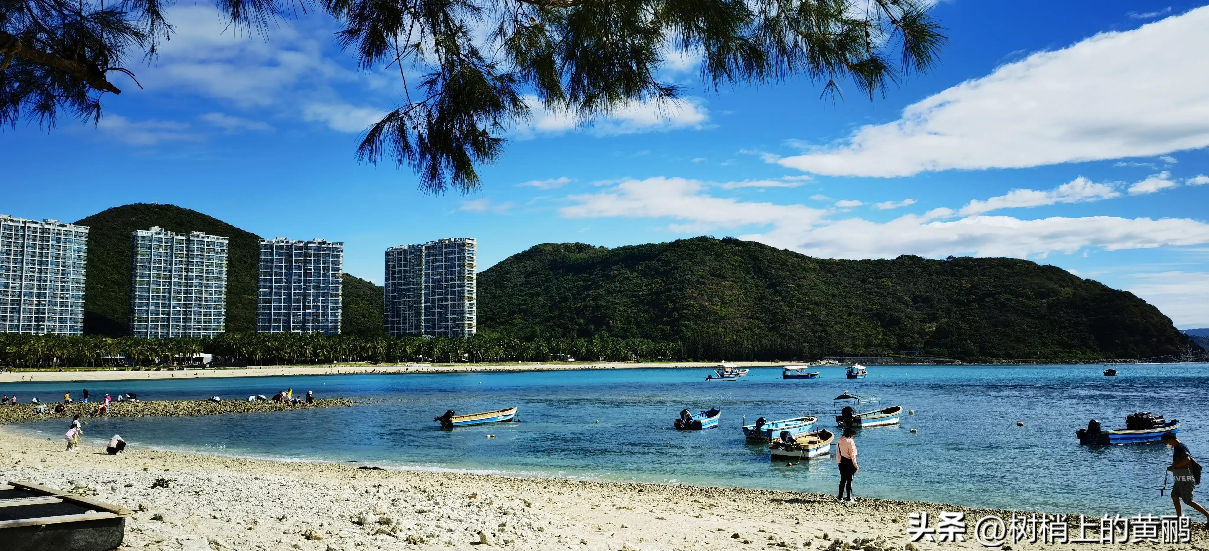 再悲痛也要放下，小鱼儿游走了