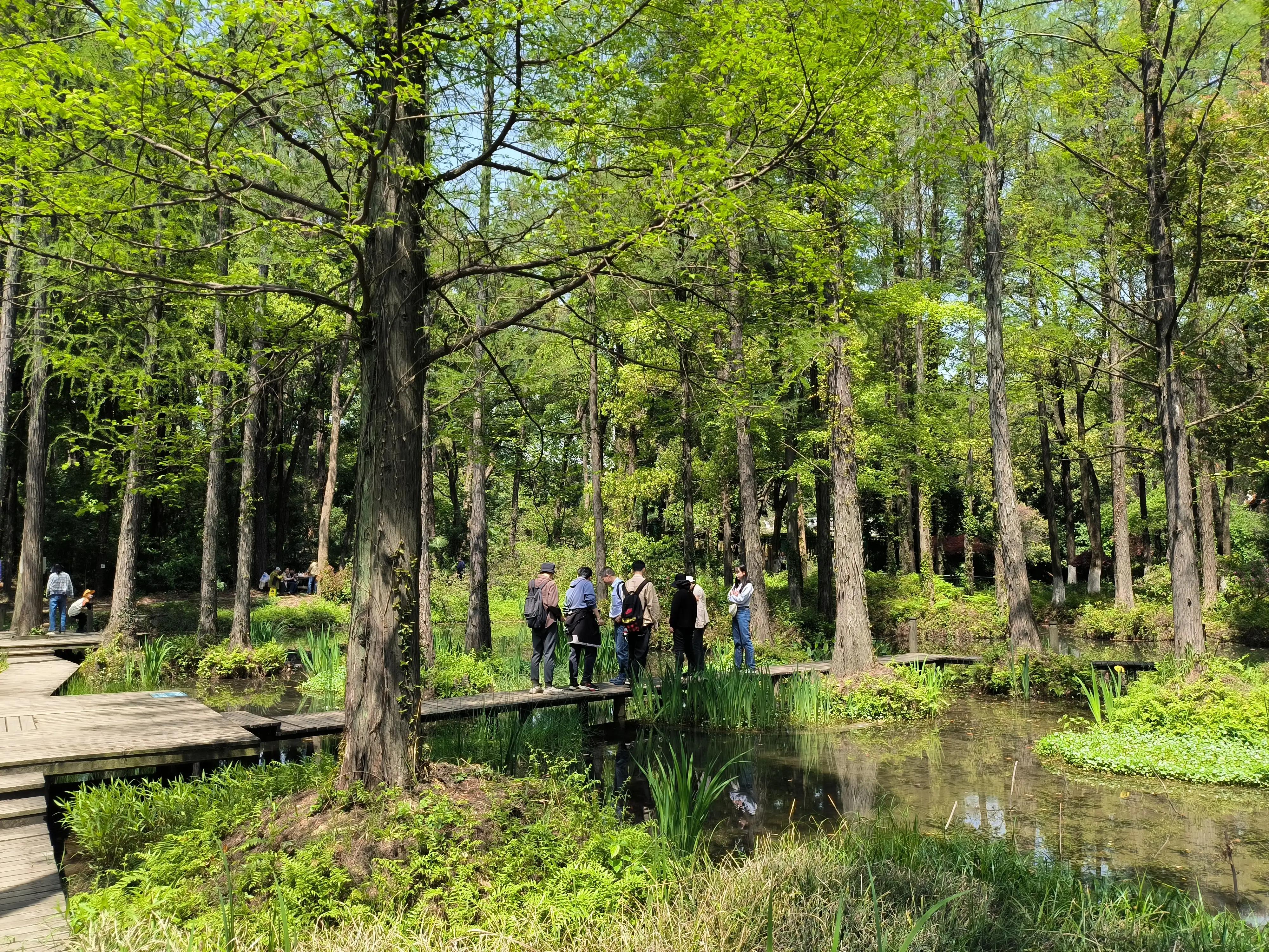 段永平商业模式,段永平看企业商业模式