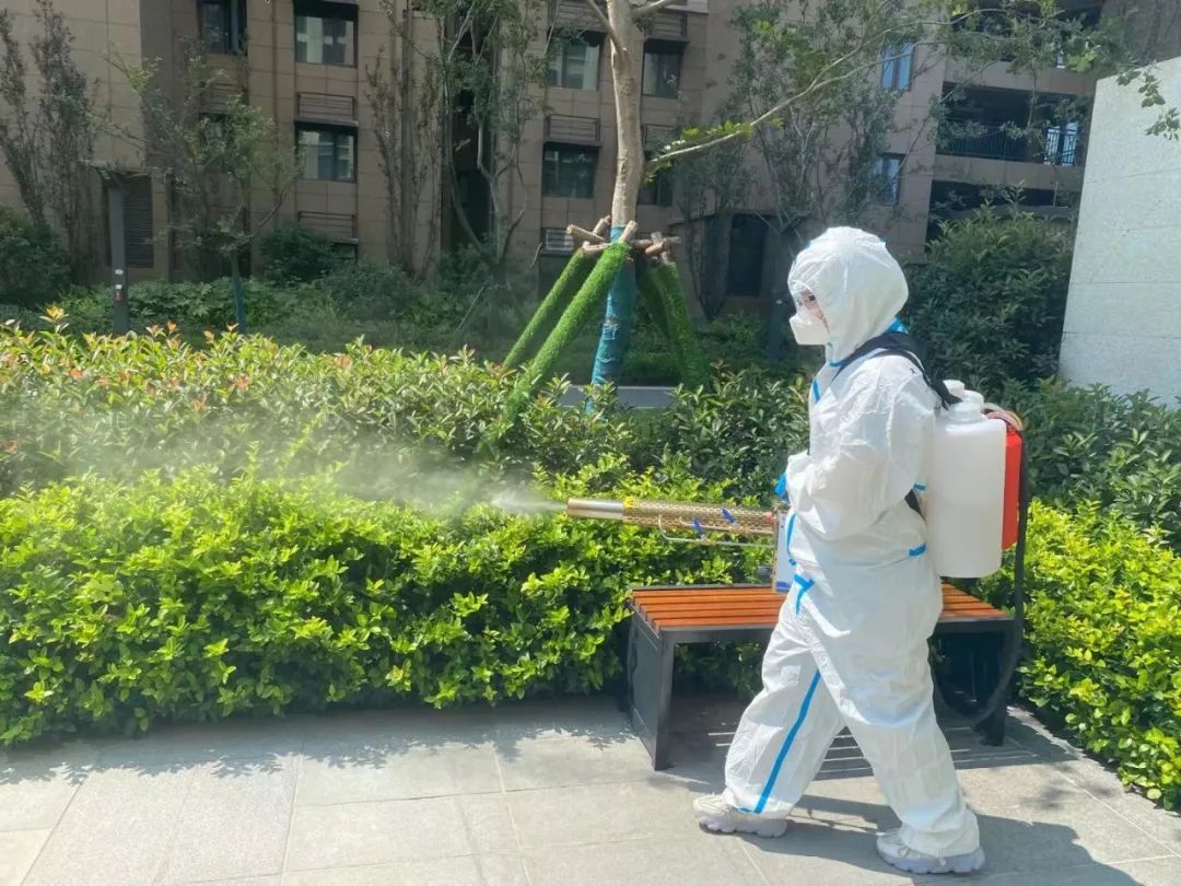 因为被需要所以勇往直前作文,因为被需要所以勇往直前的伴奏