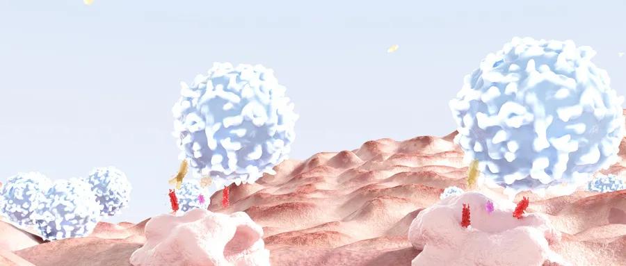 中医宫颈癌治疗方案,宫颈癌盆腔淋巴结转移治疗方案