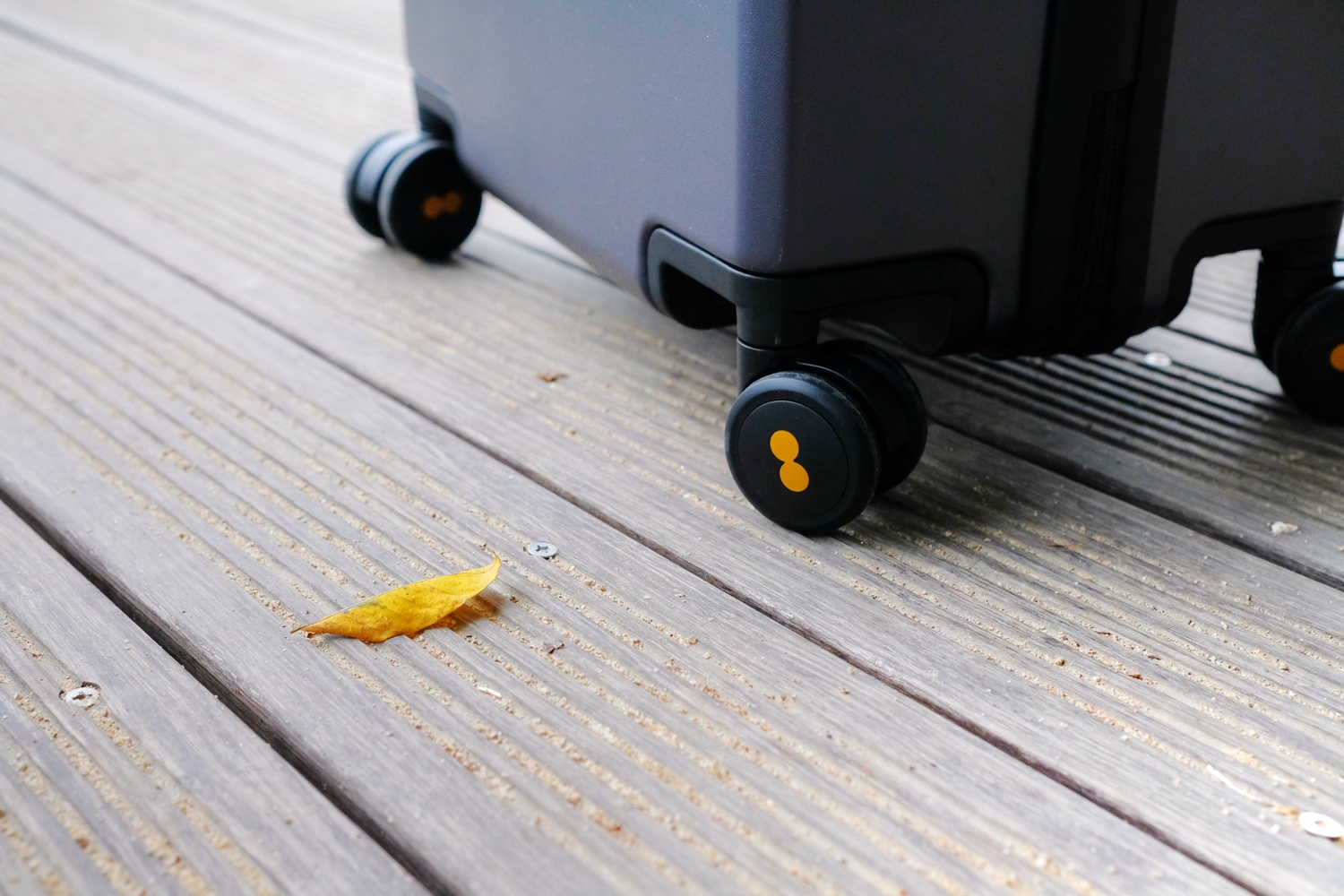 秋季推荐平价好物,秋冬必买的好物