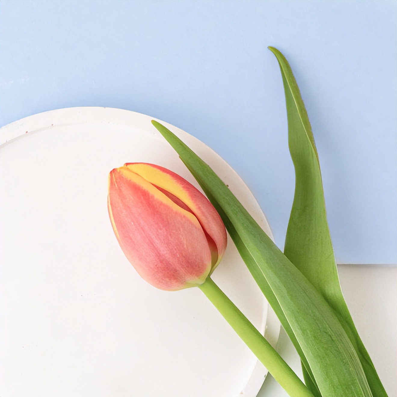 女孩在水上乐园玩会感染妇科病吗,去水上乐园玩哪几个部位容易感染