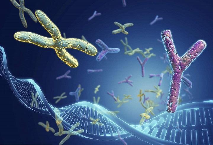 男性身高多少算达标?研究发现:身高越高,寿命越短,可信吗?