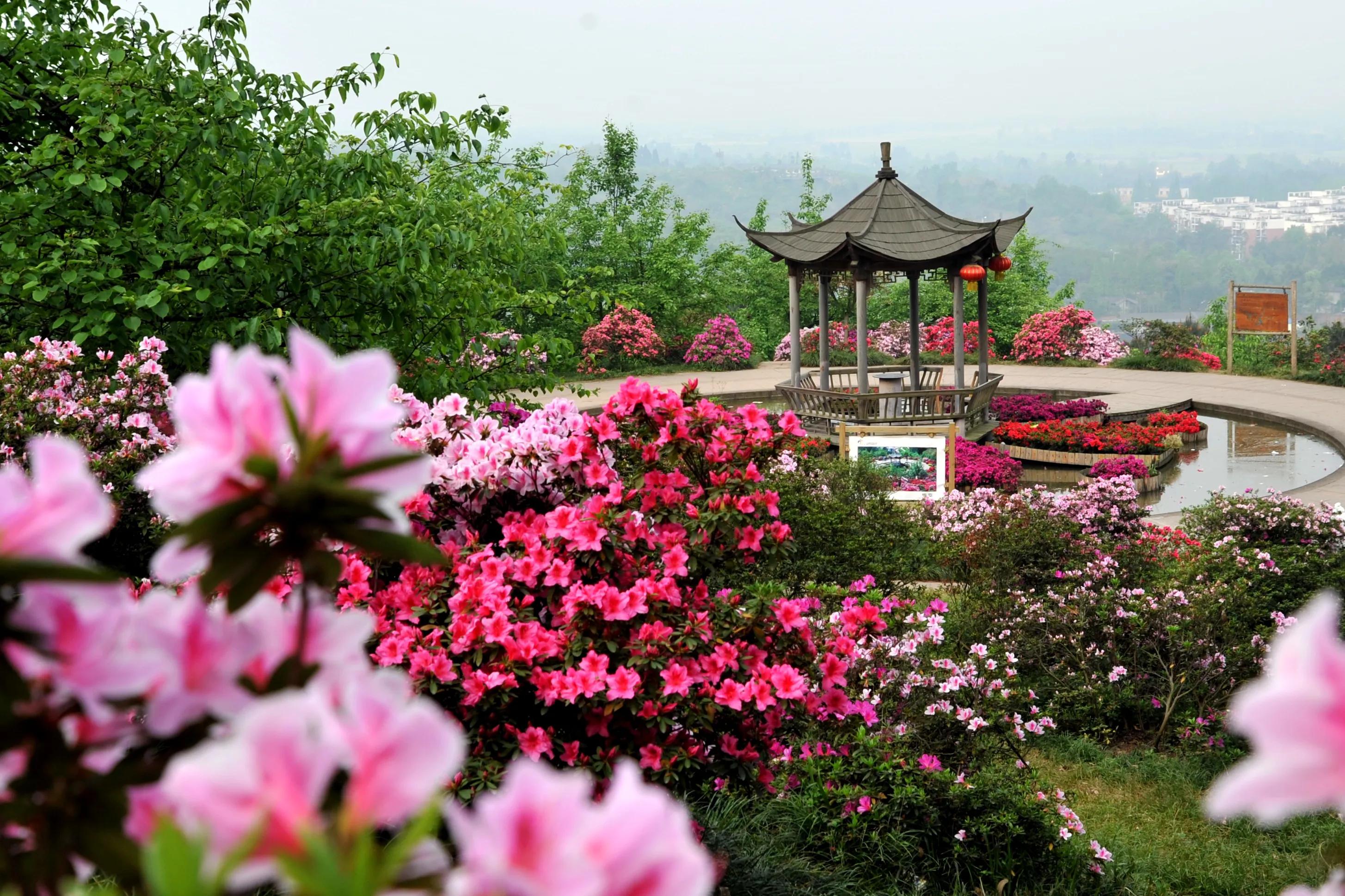 踏春赏花成都这些地方值得去看看,清明踏青成都一天来回的景点