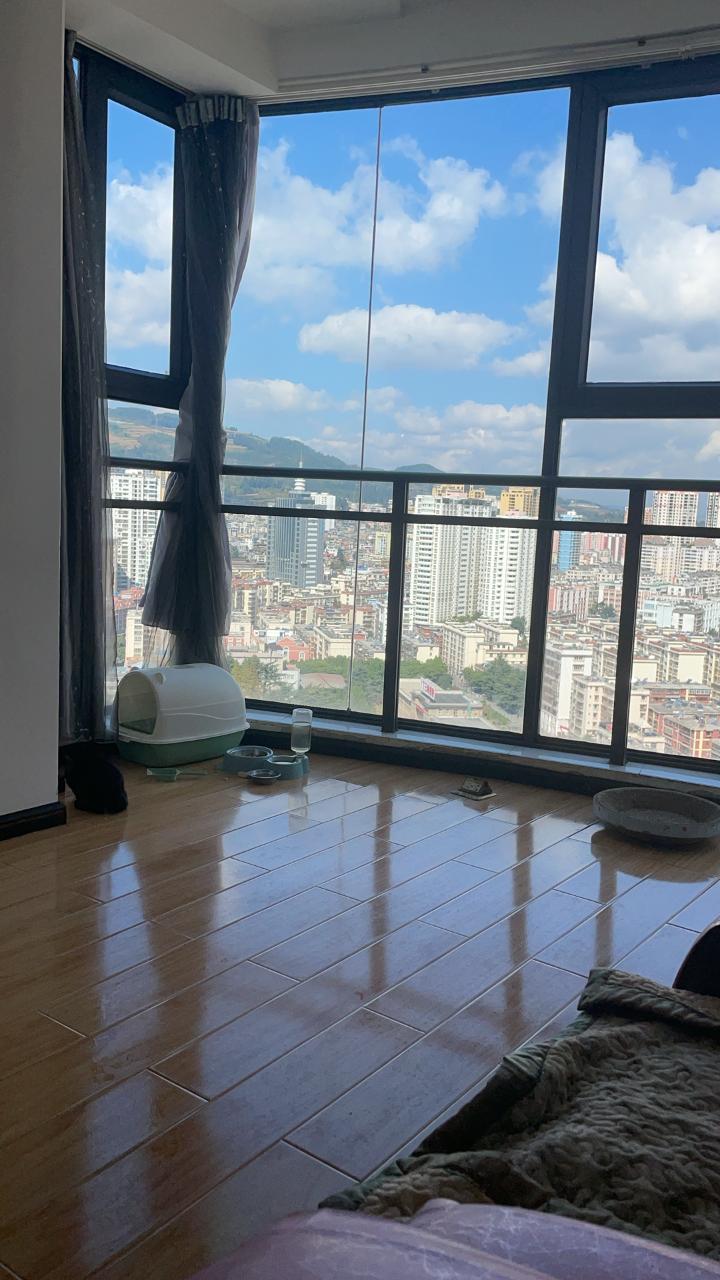 两万块全款买房，不在鹤岗也能实现「买房自由」