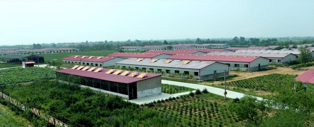 预制菜直播,乡村体育也是发展机遇