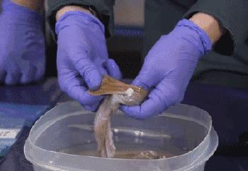 以前古代都怎么避孕的,古代没有避孕怎么办