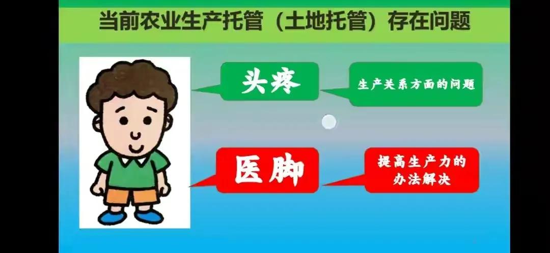现代化农业生产经营模式,农业农村托管新模式