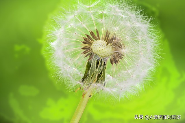 丈夫发现妻子出轨最好的处理方法,妻子出轨丈夫的正确处理方法