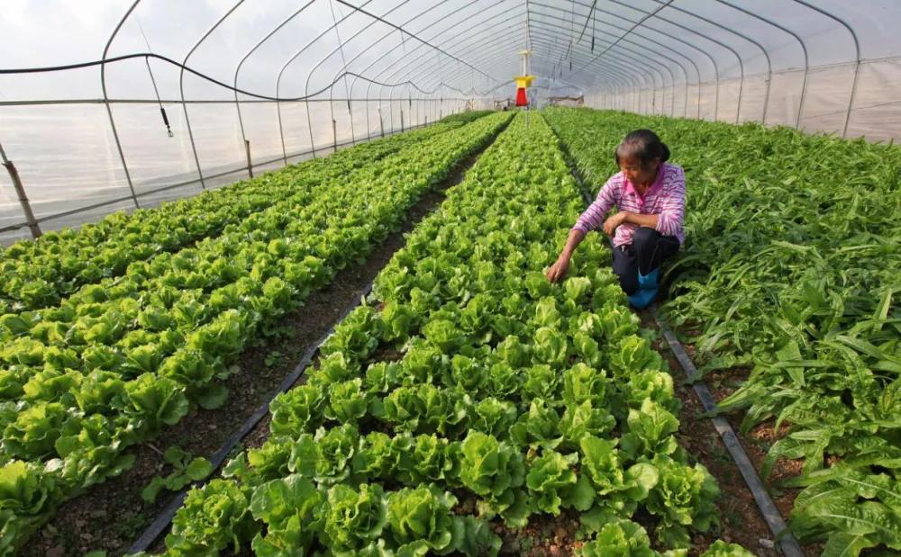 月入过万的项目,月入过万的小生意项目