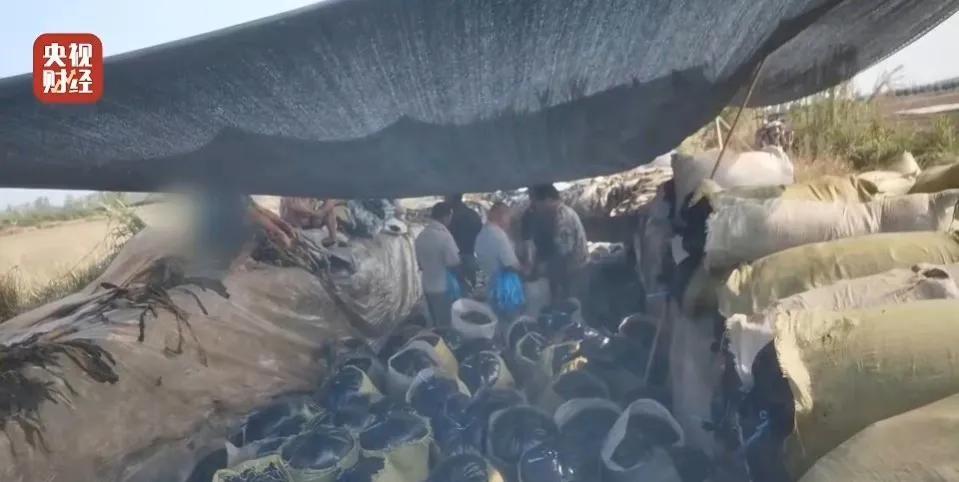 315主播打假视频完整版,315打假晚会经典节目