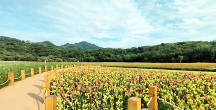 提高城市空气质量的有效方法,空气质量提升