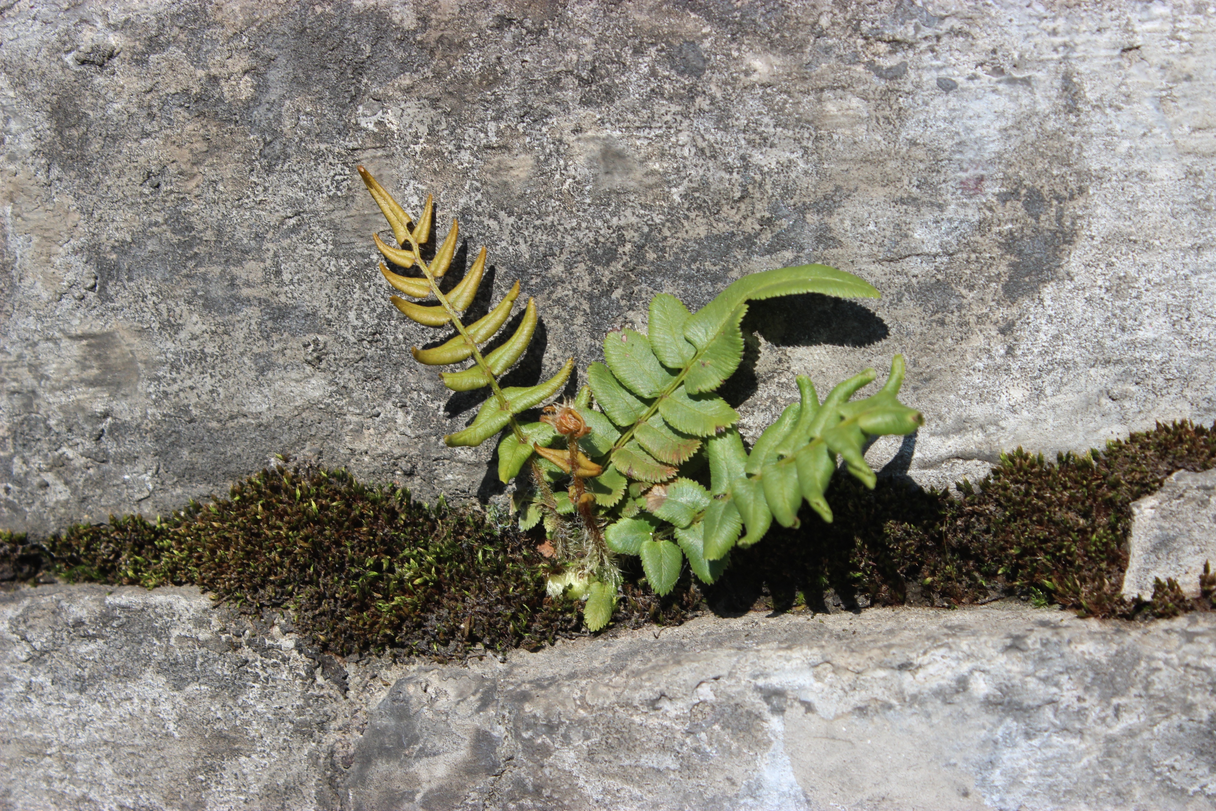 赣州周末出游攻略,春节赣州出发2-3天短途旅游