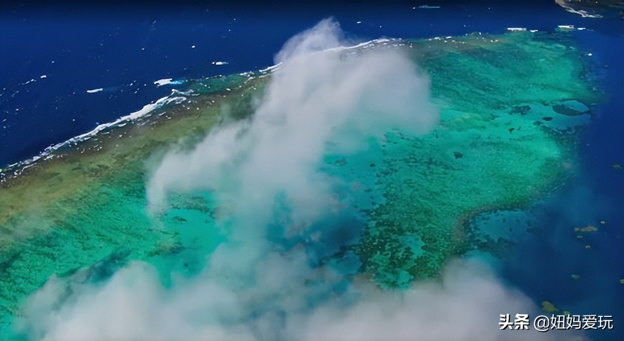 带你真切看人间的宝藏纪录片top10,十一长假适合带孩子看的纪录片