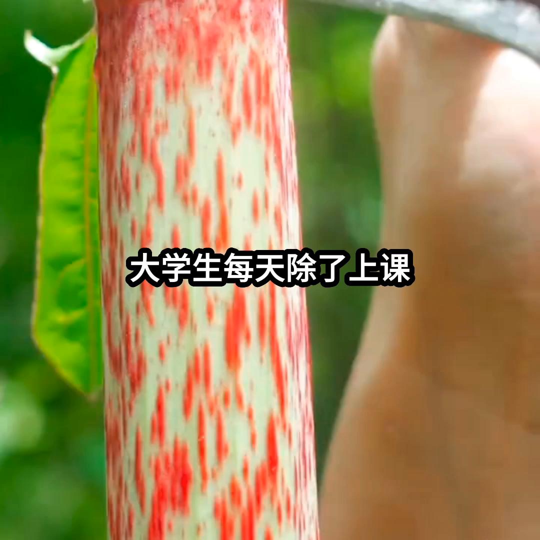 名：你听哨声响了#惊悚悬疑