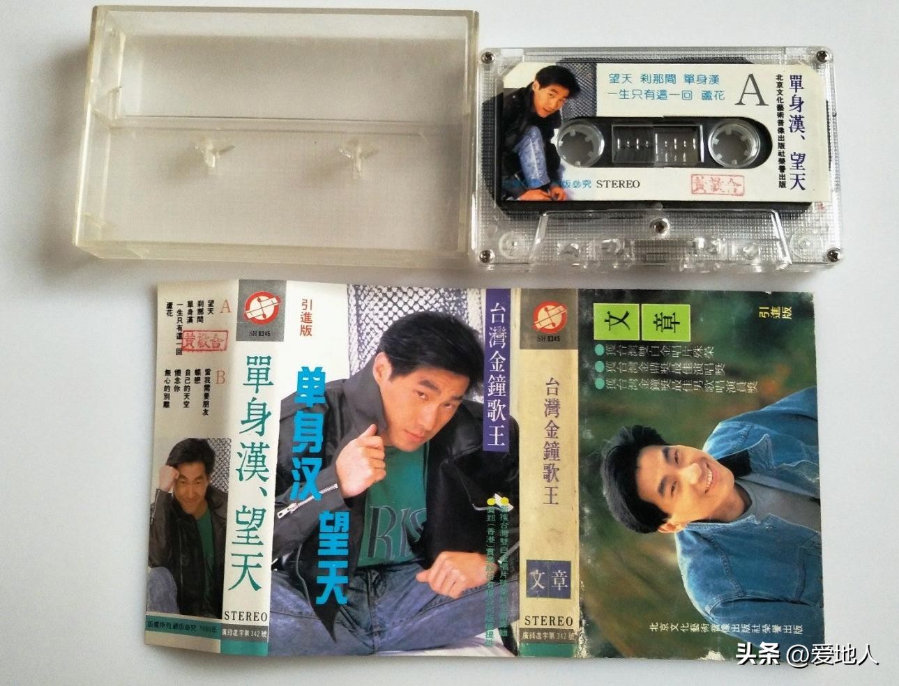 文章望天专辑全部歌曲,文章《望天》专辑