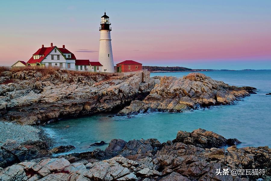 缅因库恩猫银虎斑,缅因猫浅银虎斑