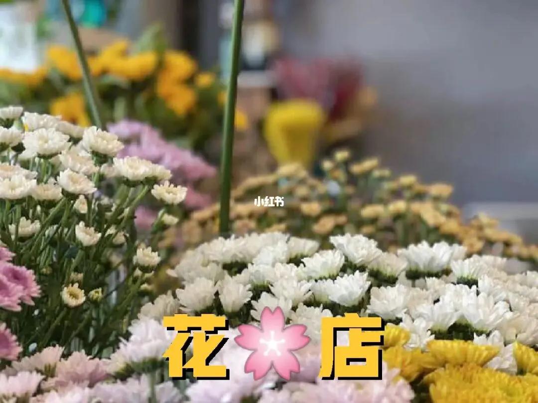 4种月入3-10万适合女性的创业项目,2021年女生小本创业