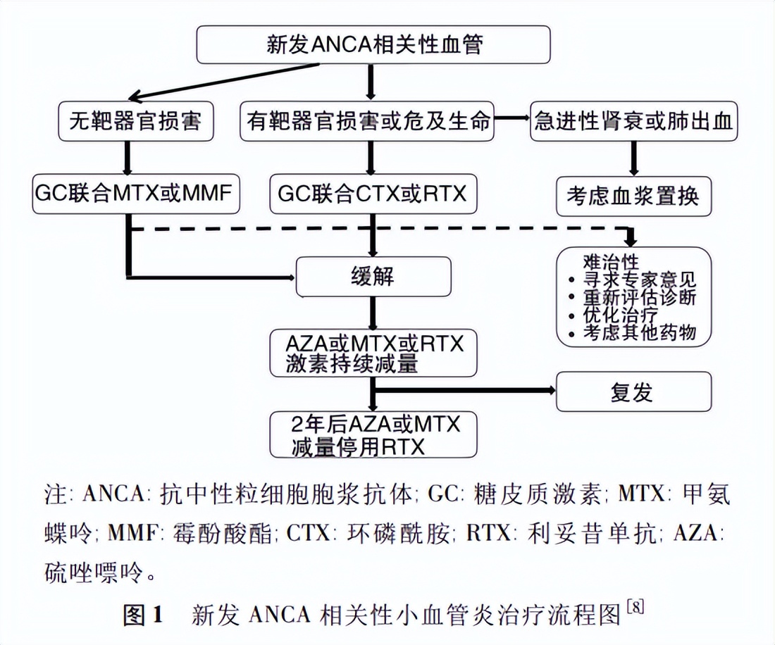 中医病因病机与中西医结合治疗系统性小血管炎肾损害
