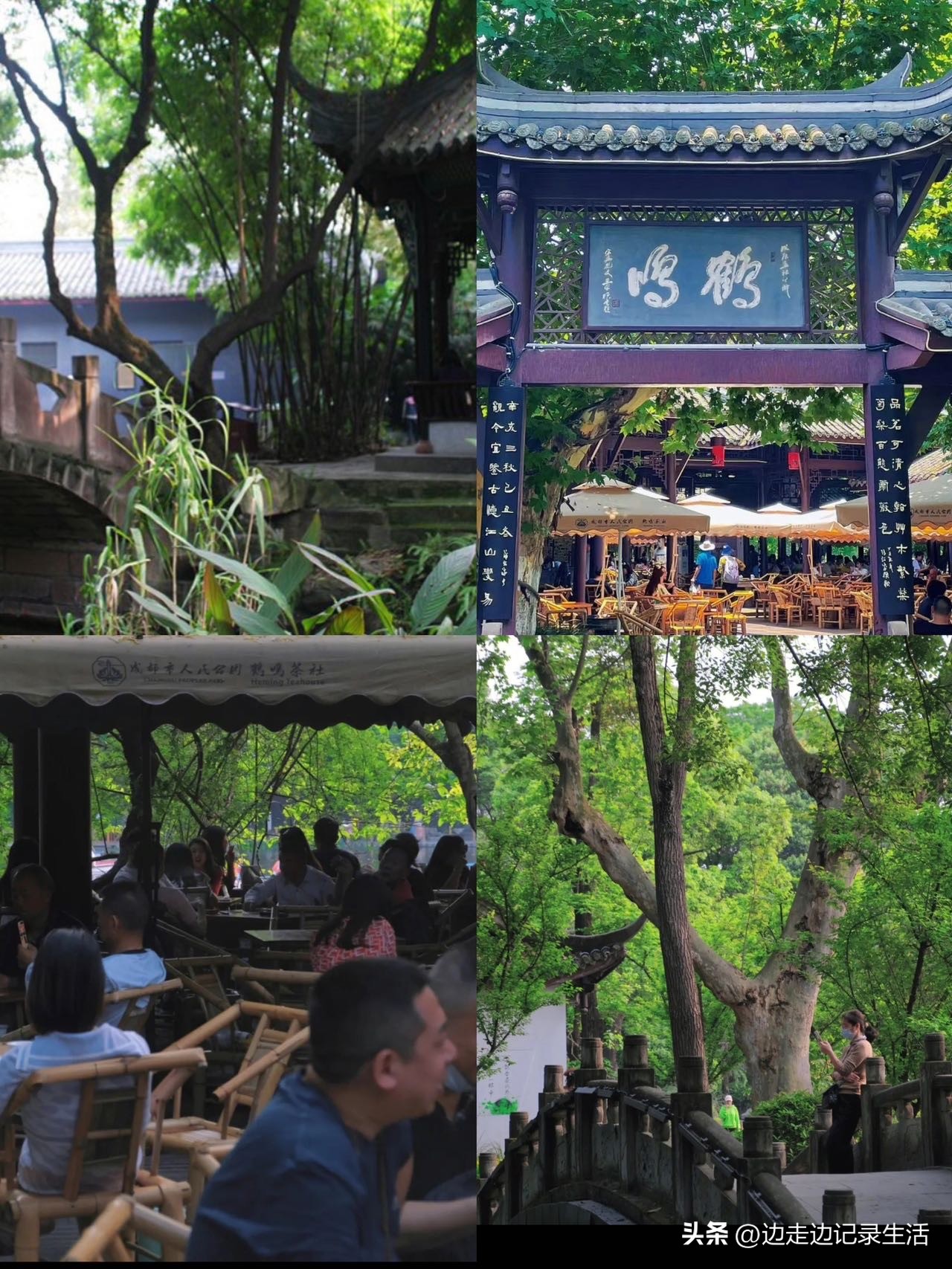 请大数据推给要来成都旅游的宝子