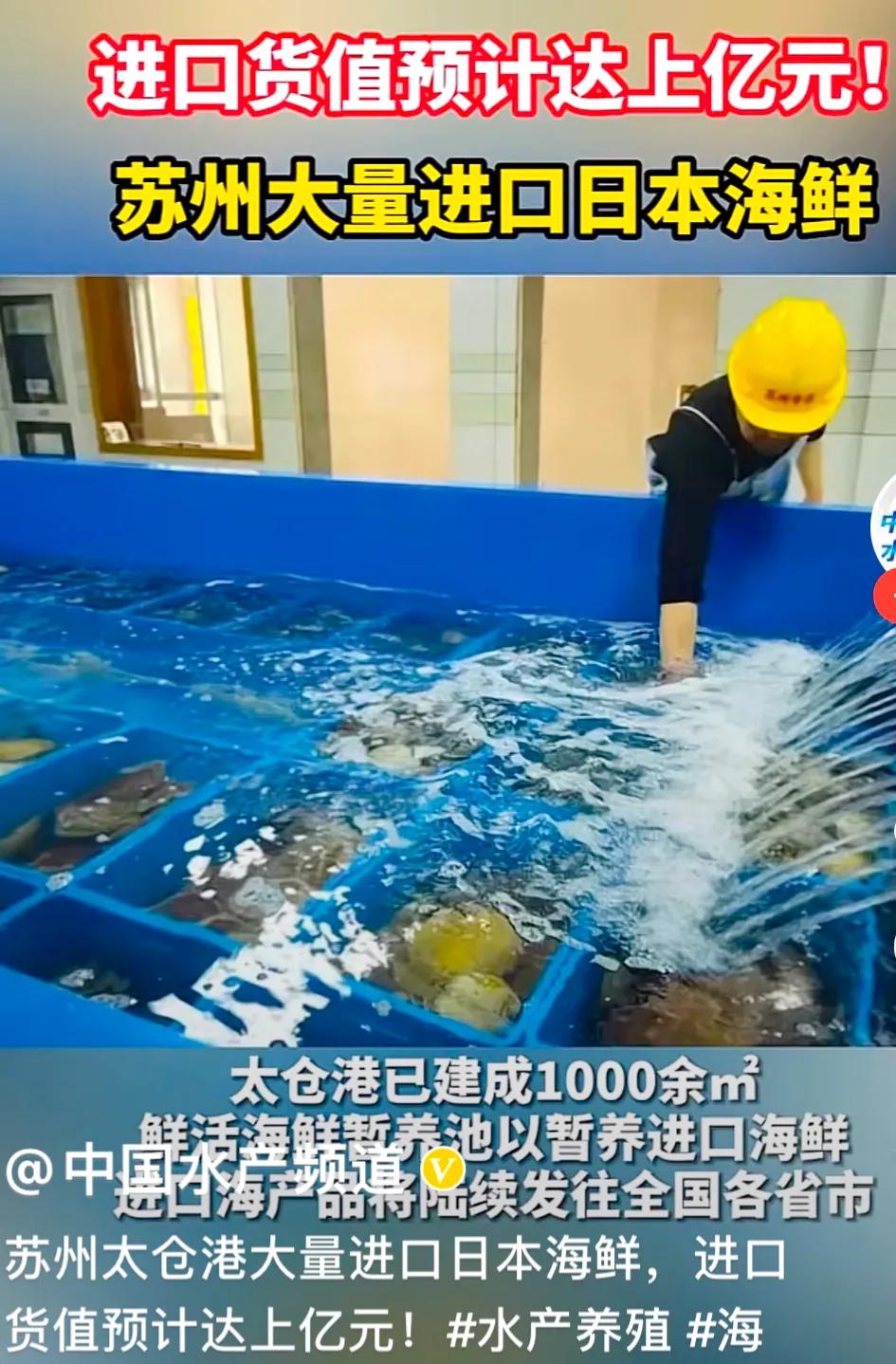 进口日本核污染海鲜的人怎么处理,江苏太仓港进口日本海鲜最新消息