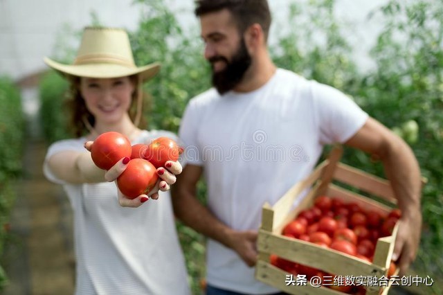 新型家庭农场的致富路,家庭农场的发展红利又将迎来高潮
