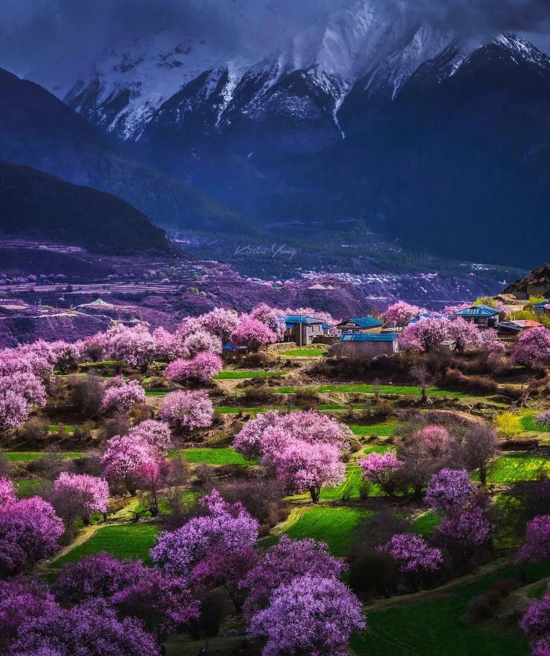 西北十大旅行攻略,西藏自驾游一日游攻略