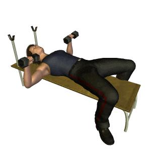 家庭健身房器械如何搭配,健身房器械使用教程女生