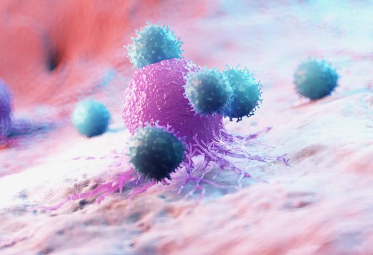 290万抗癌药物能治疗什么癌症,290元的抗癌药物