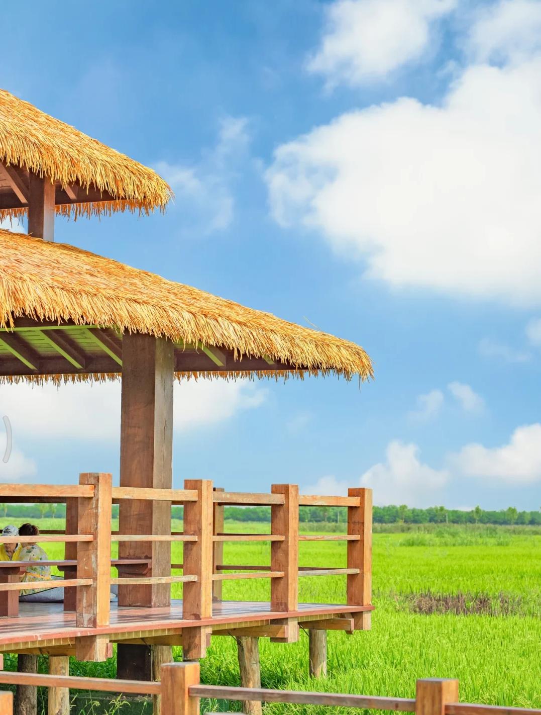 天津遛娃好地方,天津遛娃的免费公园