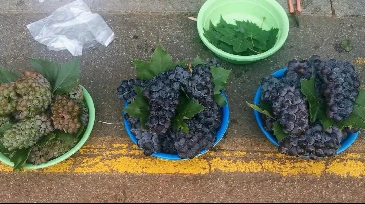 中国申请高句丽世界文化遗产遗址,高句丽历史文化遗址