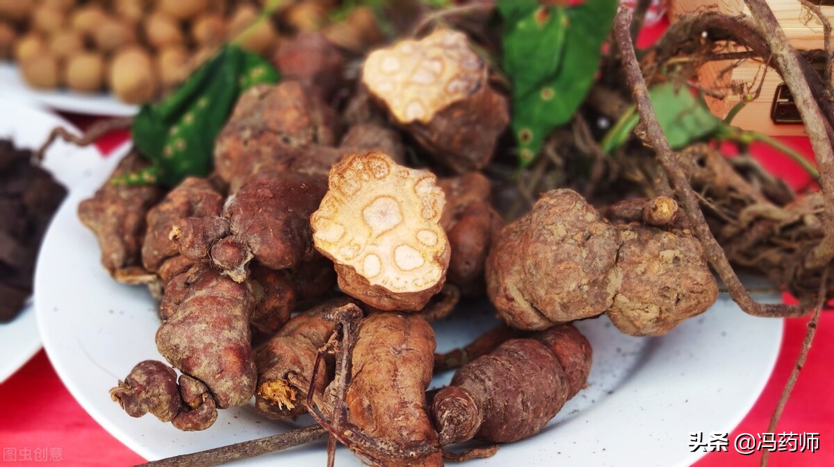 何首乌的抗衰老作用和功效,何首乌功效与作用中药