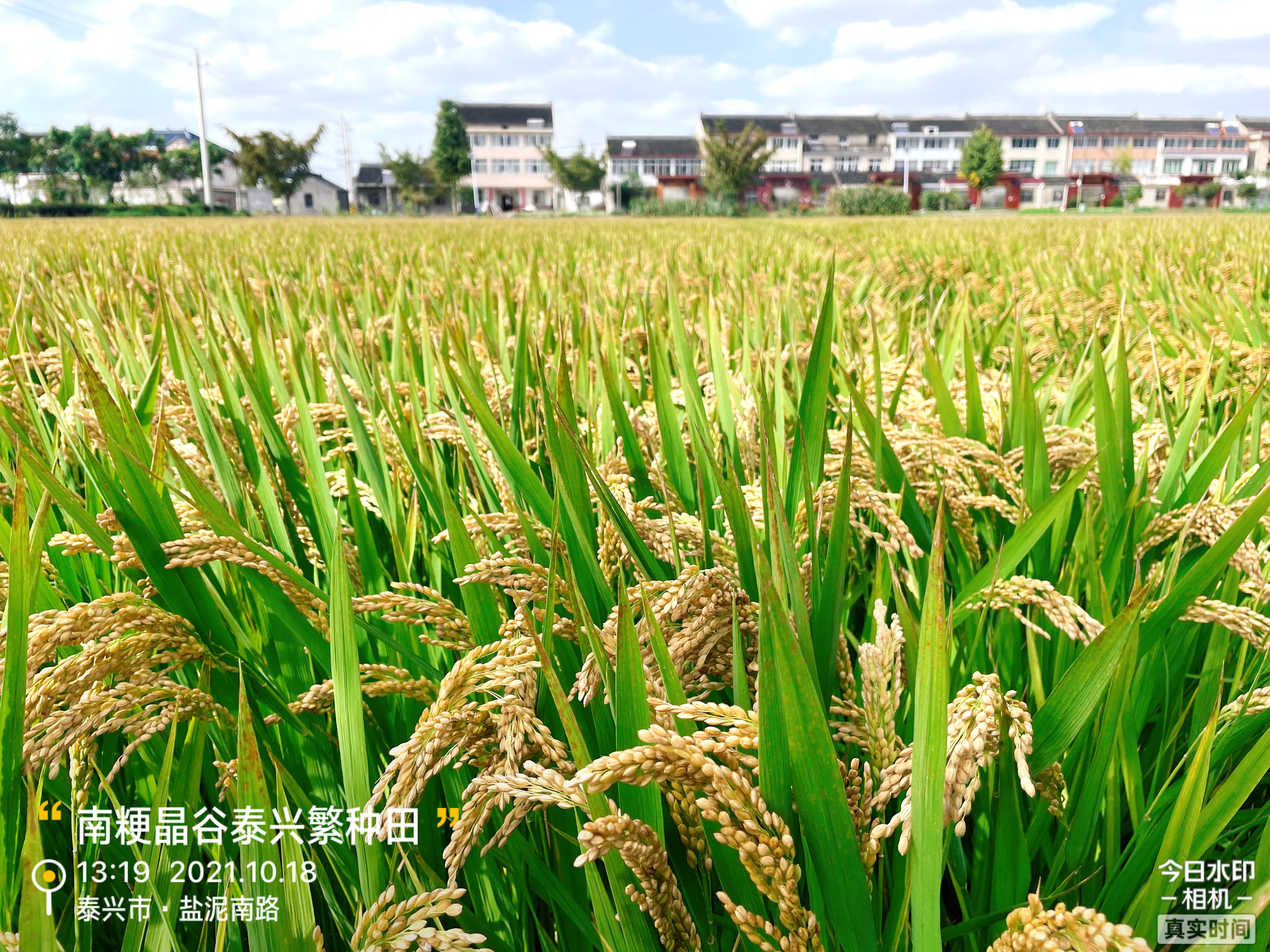 姹熻嫃绁炲啘澶т赴绉嶄笟灏忛害鍝佺,姹熻嫃绁炲啘鍐滀笟鏈夐檺鍏徃