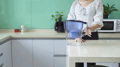 碧然德和倍世哪个好,德国碧然滤水壶哪款好