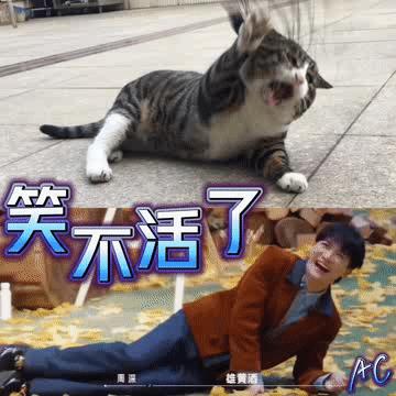 周深黑子,周深对于黑子的看法