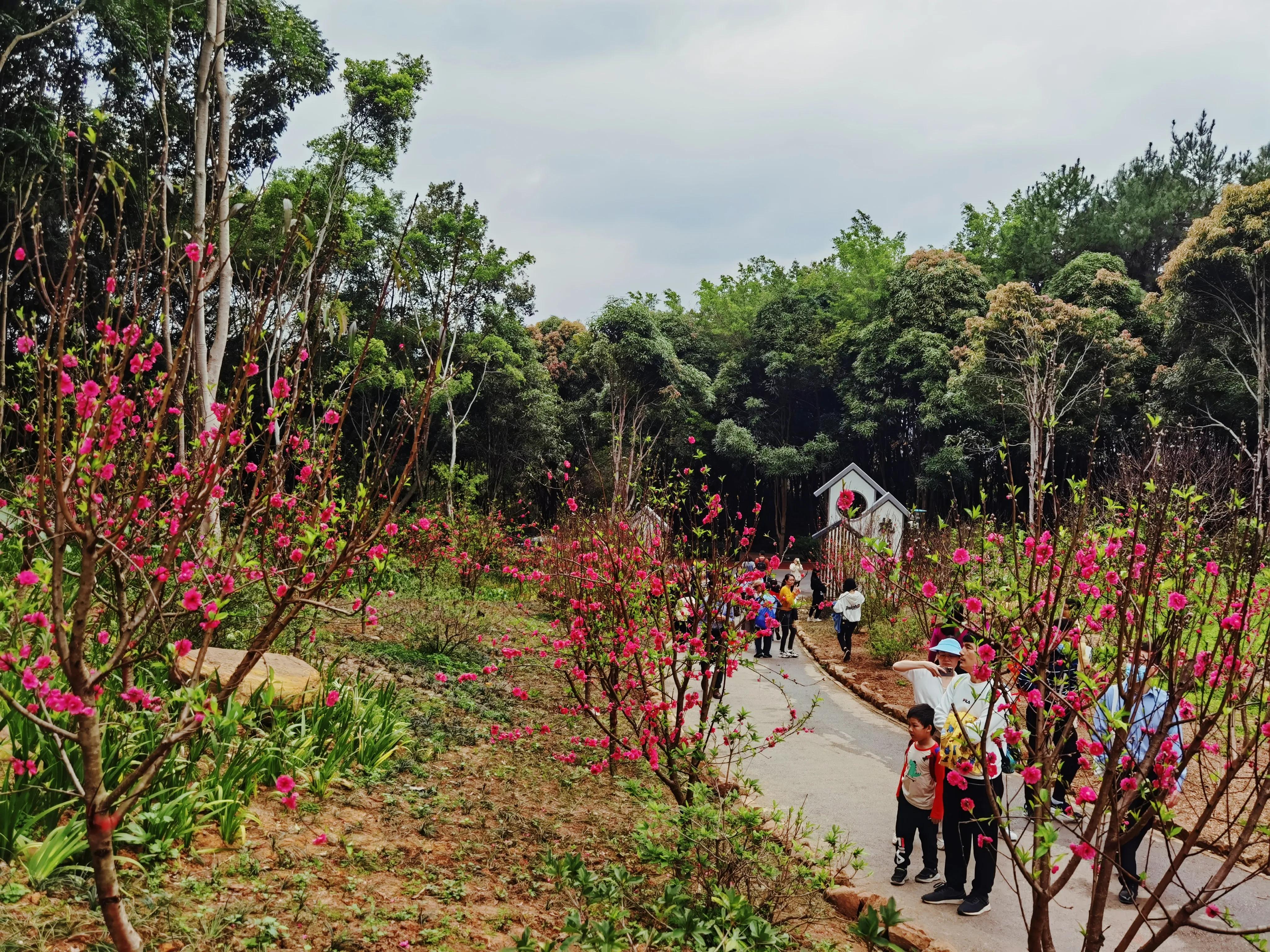 南宁是一个什么样的城市,南宁是个什么样的城市
