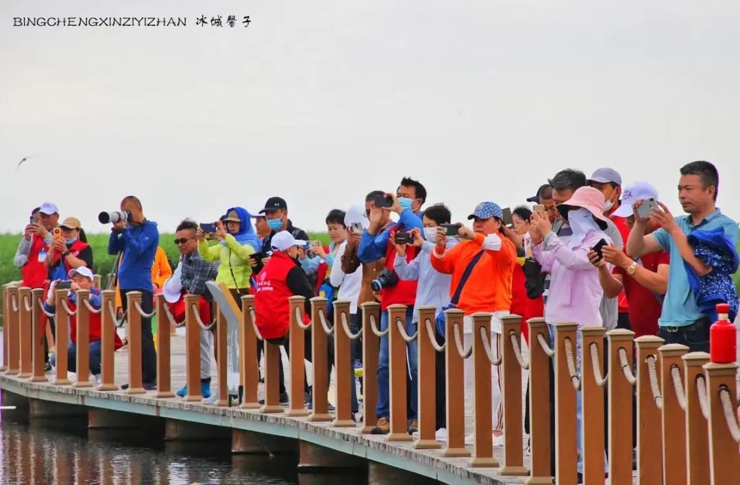 环中国边境线自驾旅行g331黑龙江,g331东北大环线自驾游