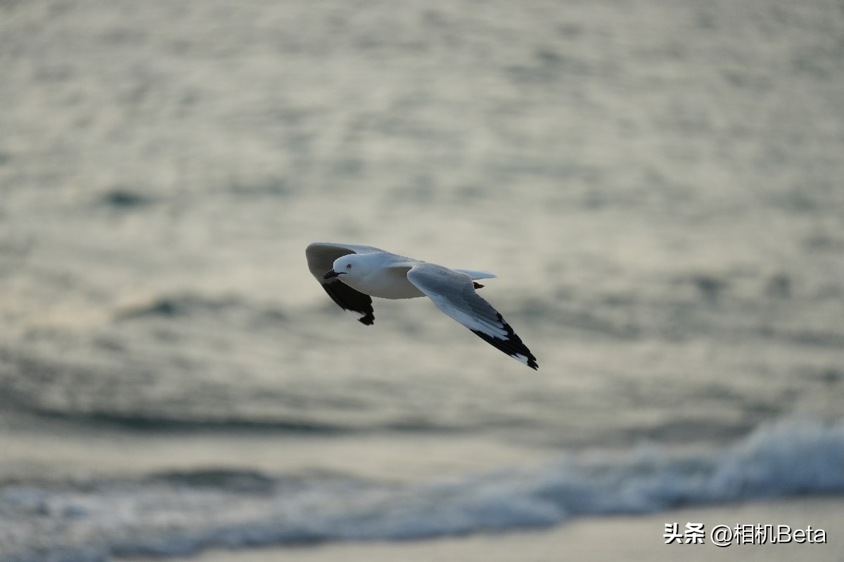 索尼fe70-200mmf4价格是多少钱,索尼fe24-70f4g新一代小三元