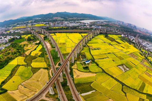 关于农村5个新政策,农村五大政策放宽官方文件