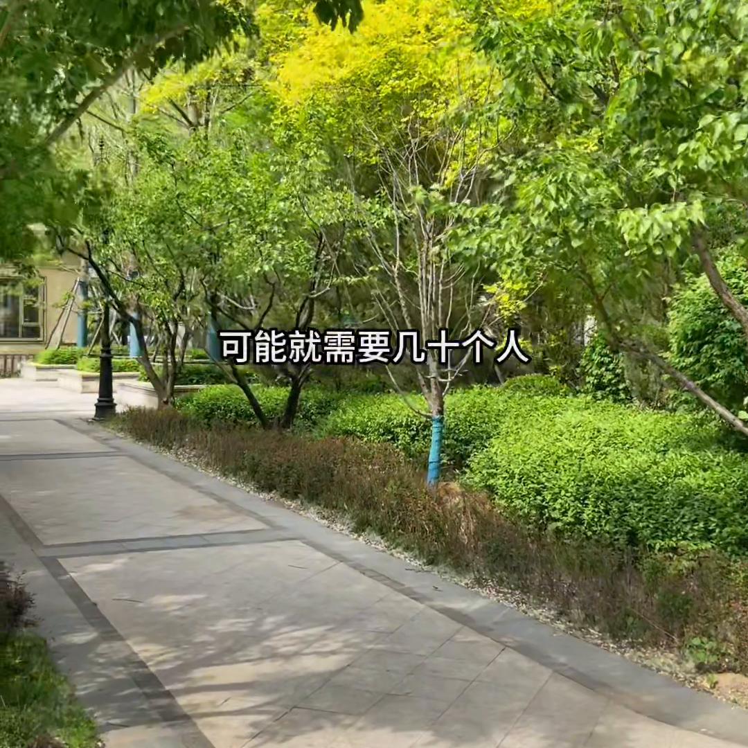 聊一下普通人挣钱，未来的方向以及两个目前可做的方向。#...