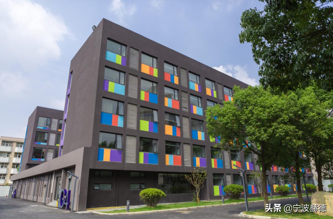 除了直升初中部，赫德6年级还有哪些特点？