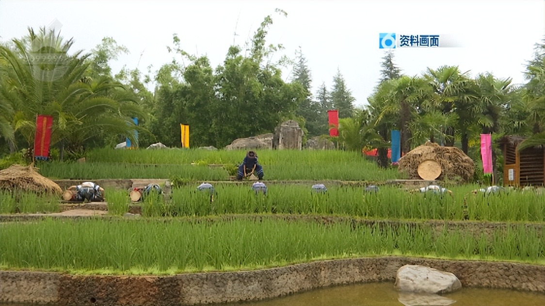 地铁、火车站、机场不再查验场所码、健康码,昆明旅游搜索量涨了160%