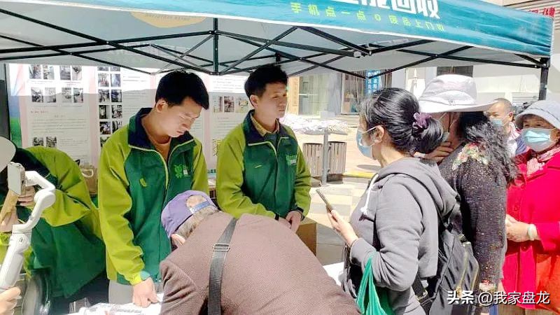 三山区绿巨能回收,富民绿巨能回收