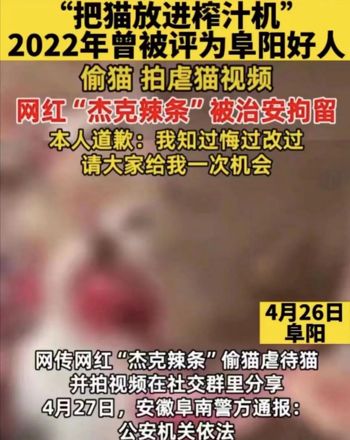 杰克辣条再次虐猫事件点评,虐猫网红杰克辣条公开道歉