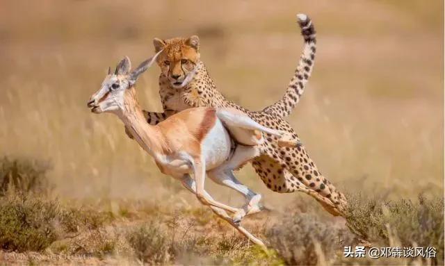 游资大佬a神操作手法,顶级游资龙虎榜解密