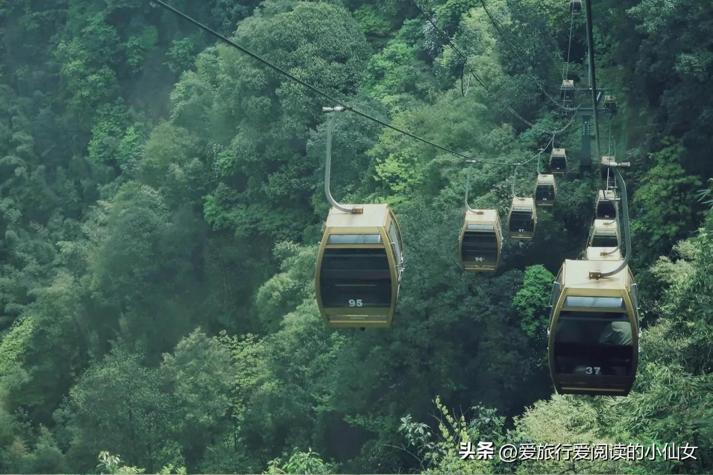 蜀南竹海自然生态景区,蜀南竹海云雾缭绕人间仙境